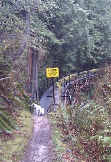 Caution sign just before the first bridge at Chapman Creek falls.
