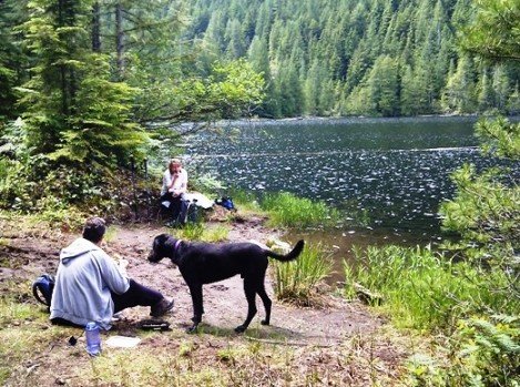 Lunch with the dogs at Gambier Lake