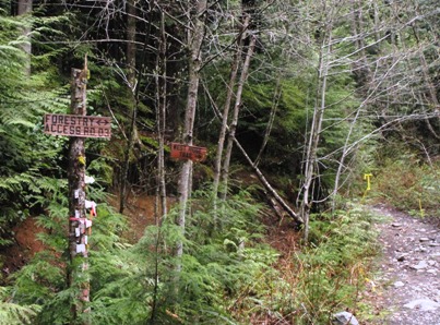 West Ridge trail sign and forest road sign